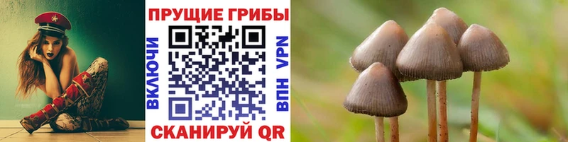 Псилоцибиновые грибы Psilocybe Купить закладки Лабытнанги